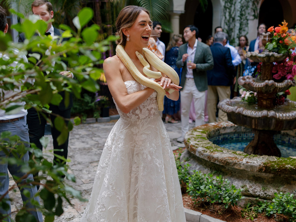 5 Miami Birthday Ideas/Themes for Reptile Lovers