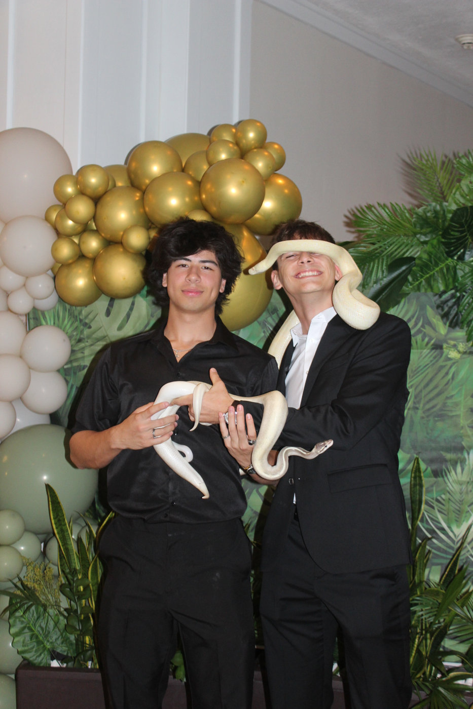 Shadow's Reptiles: Bringing Fun, Education, and Passion to Your Event