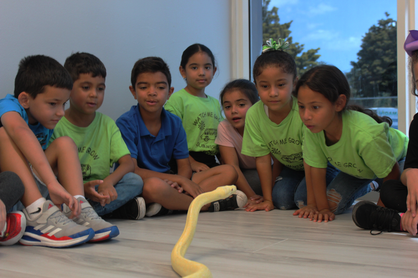 Shadow's Reptiles: Bringing Fun, Education, and Passion to Your Event