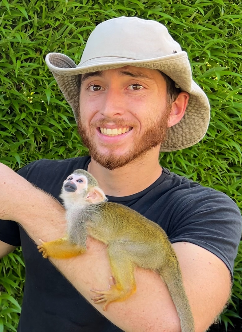Squirrel Monkey Care Guide