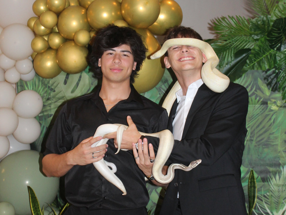 Shadow's Reptiles: Bringing Fun, Education, and Passion to Your Event