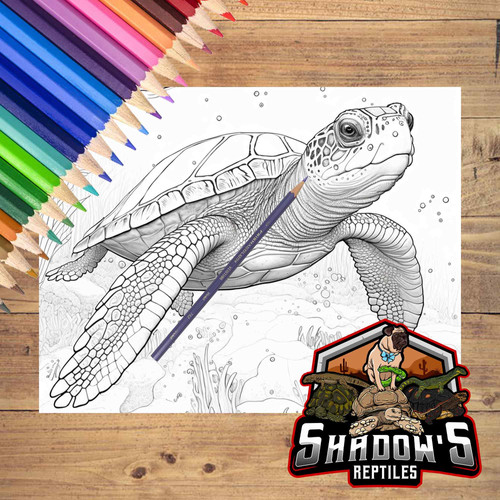 5 Animal Coloring Pages 2