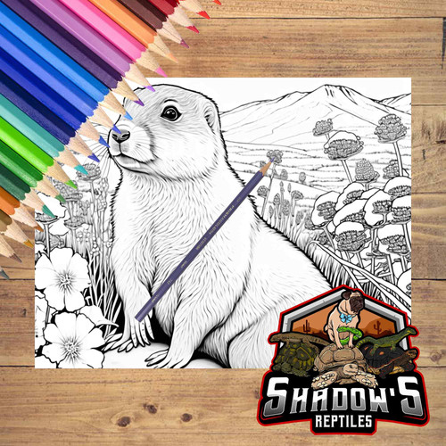 5 Animal Coloring Pages 4