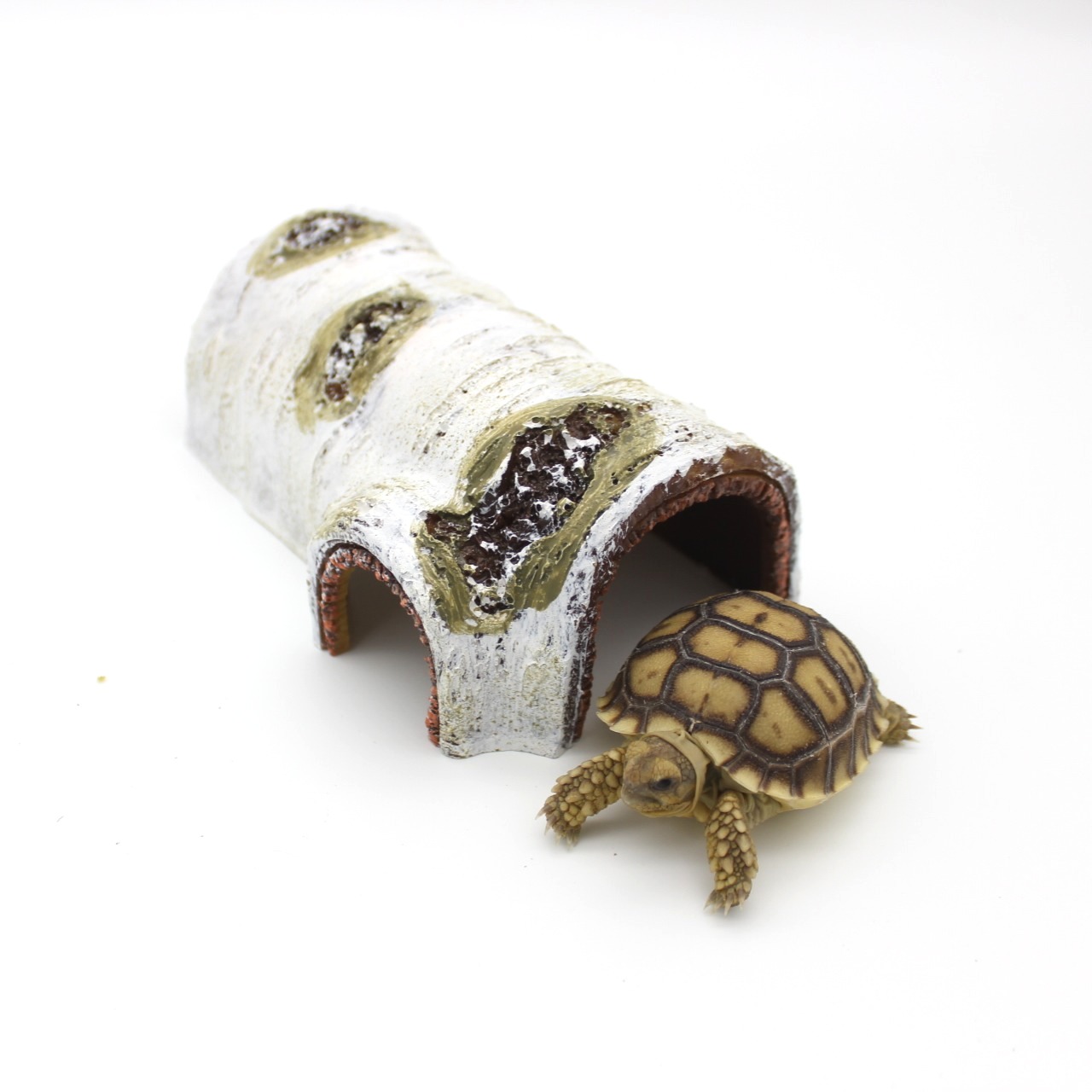 Birch Tree Reptile and Animal Log Hide