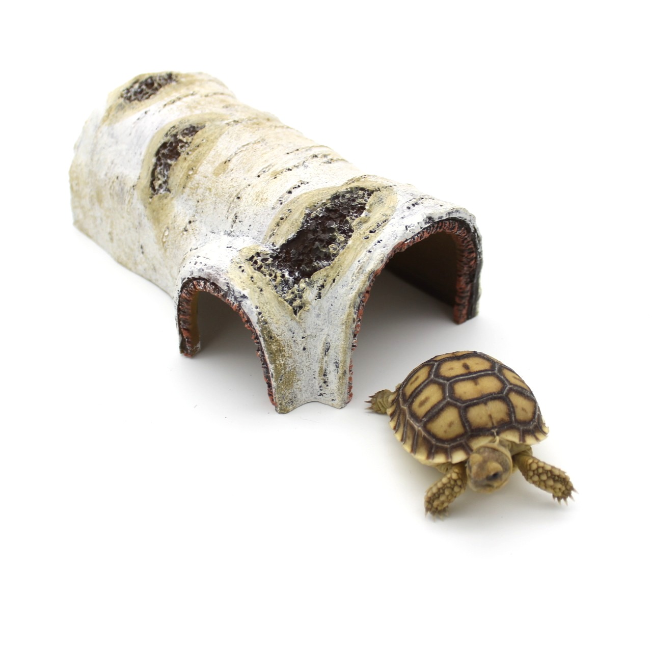 Birch Tree Reptile and Animal Log Hide 2