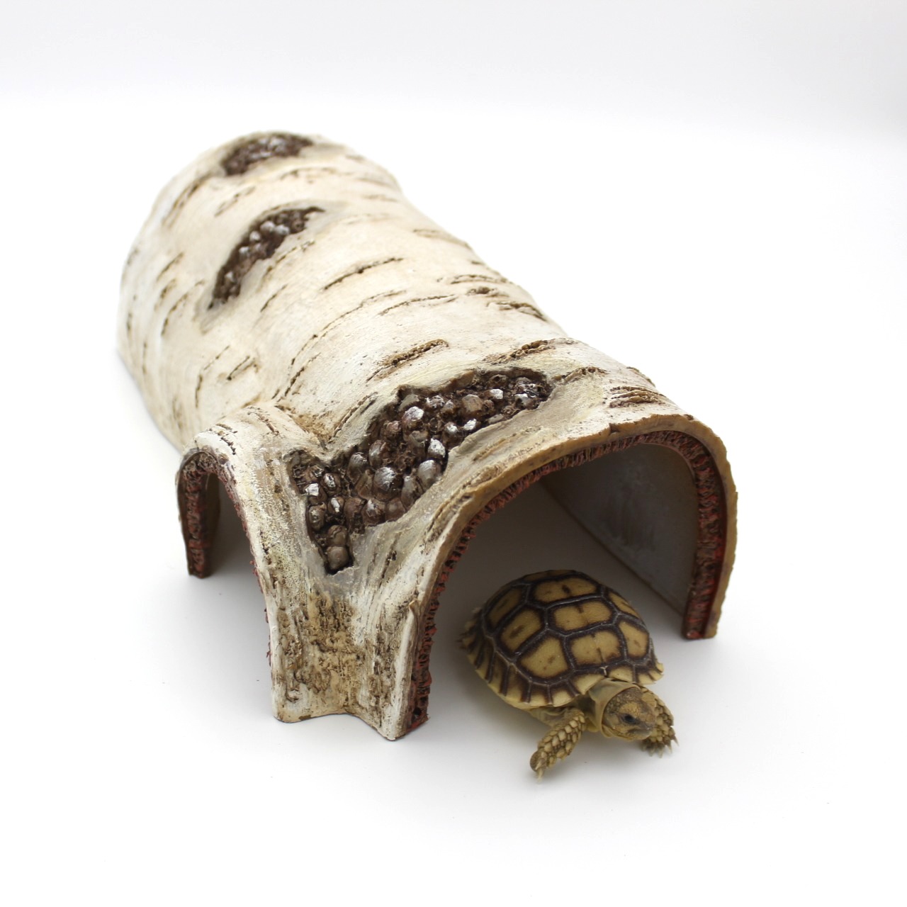 Birch Tree Reptile and Animal Log Hide 3