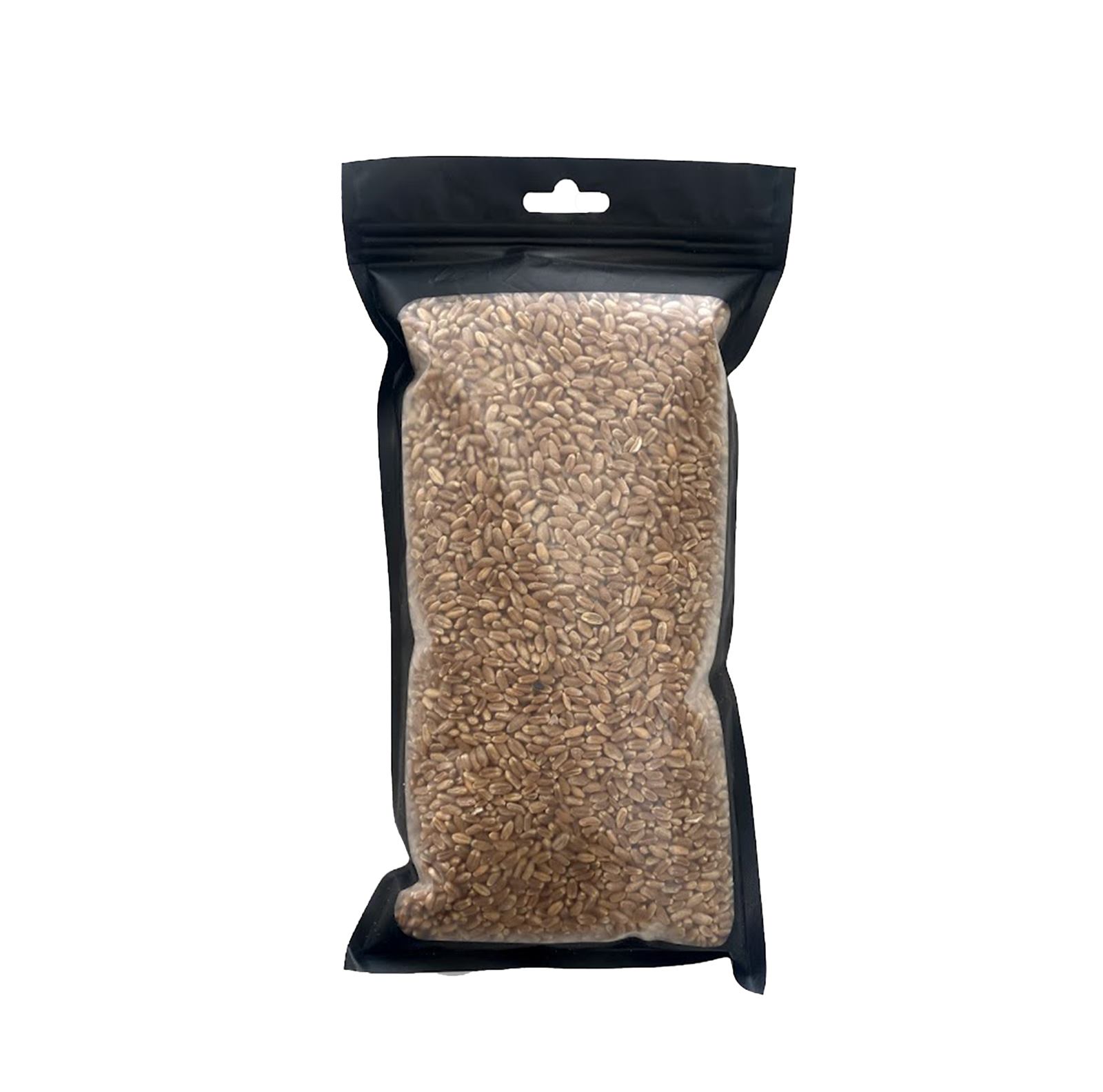 Red Wheat Grass Seeds 3