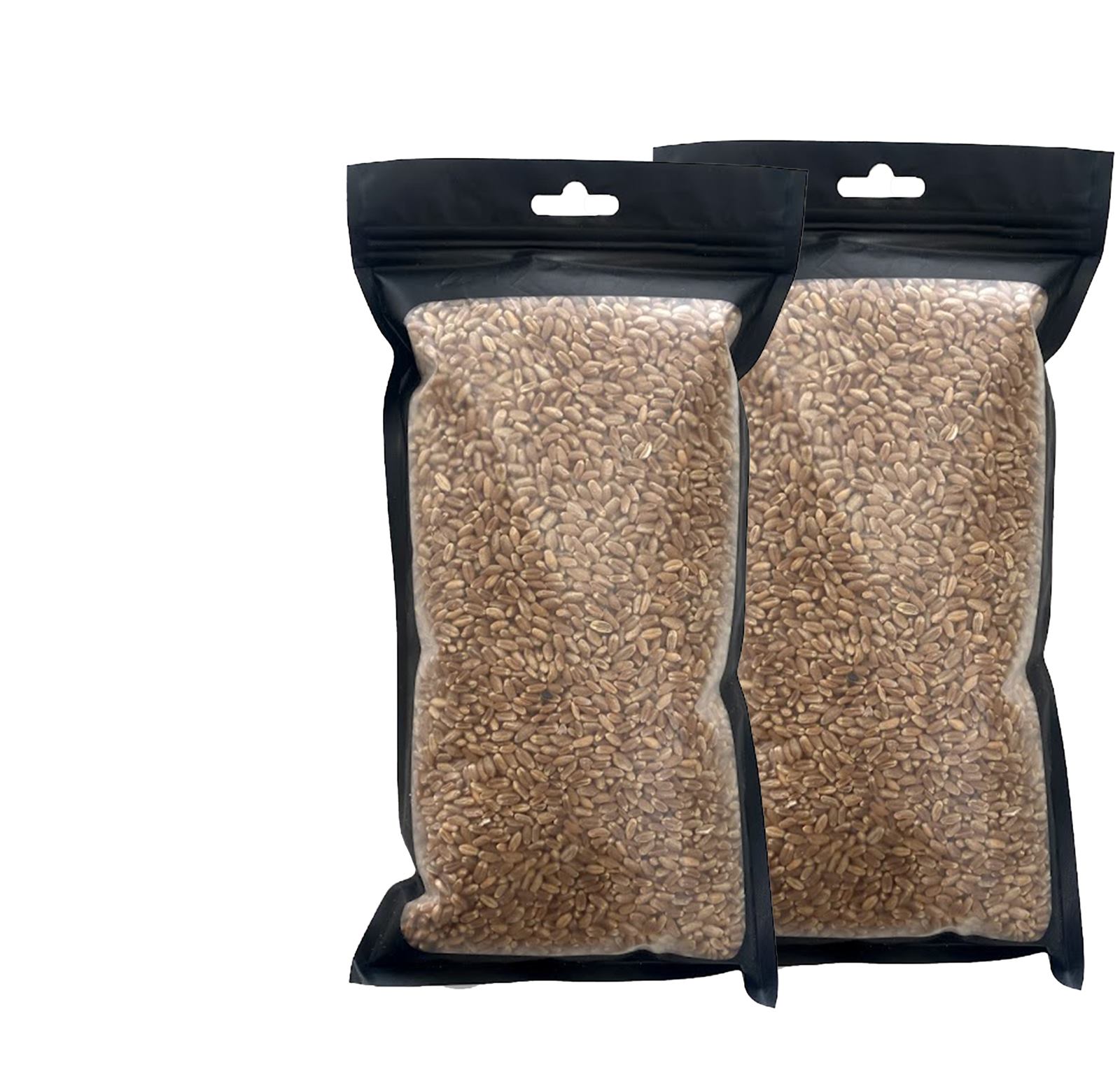 Red Wheat Grass Seeds 4