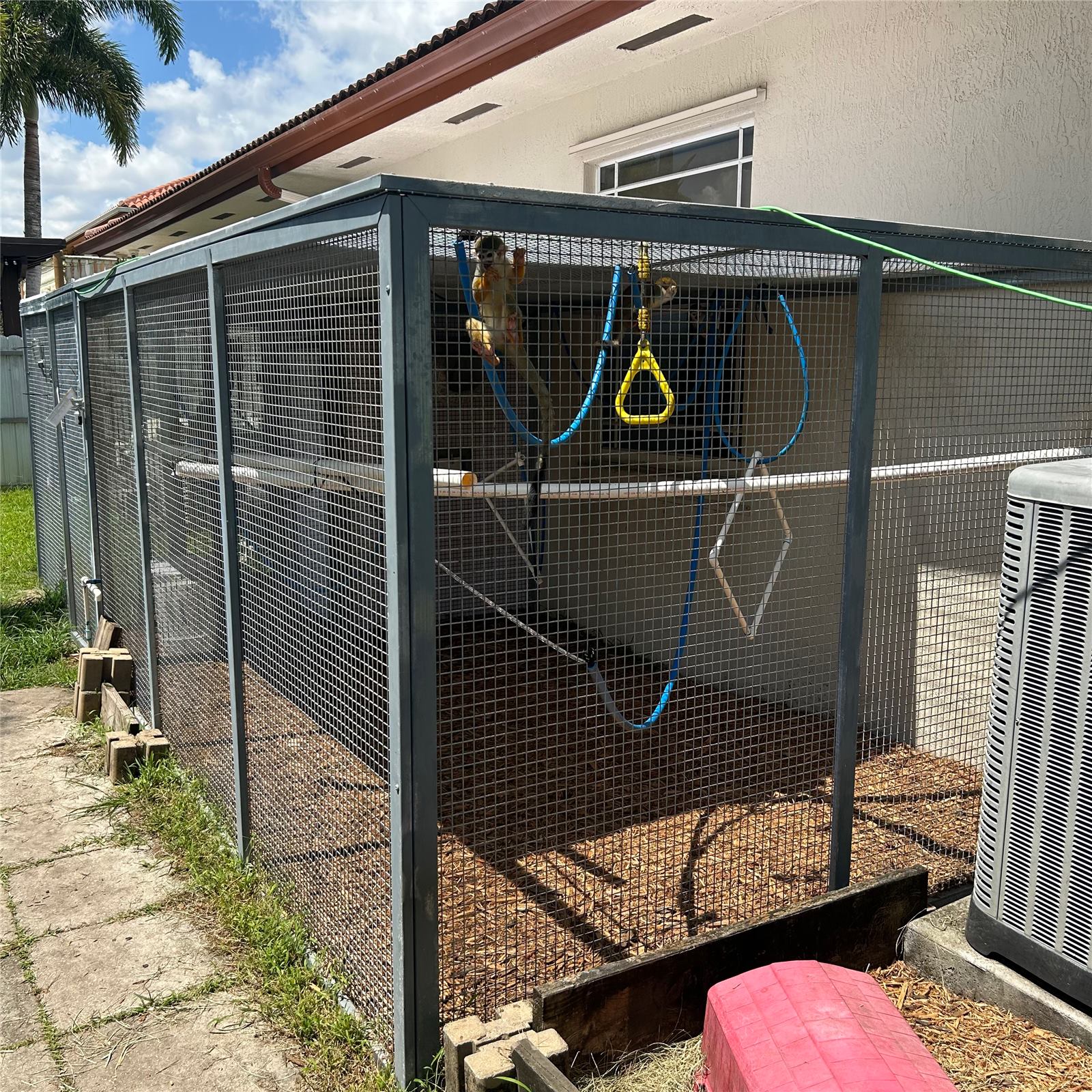 Monkey Unit