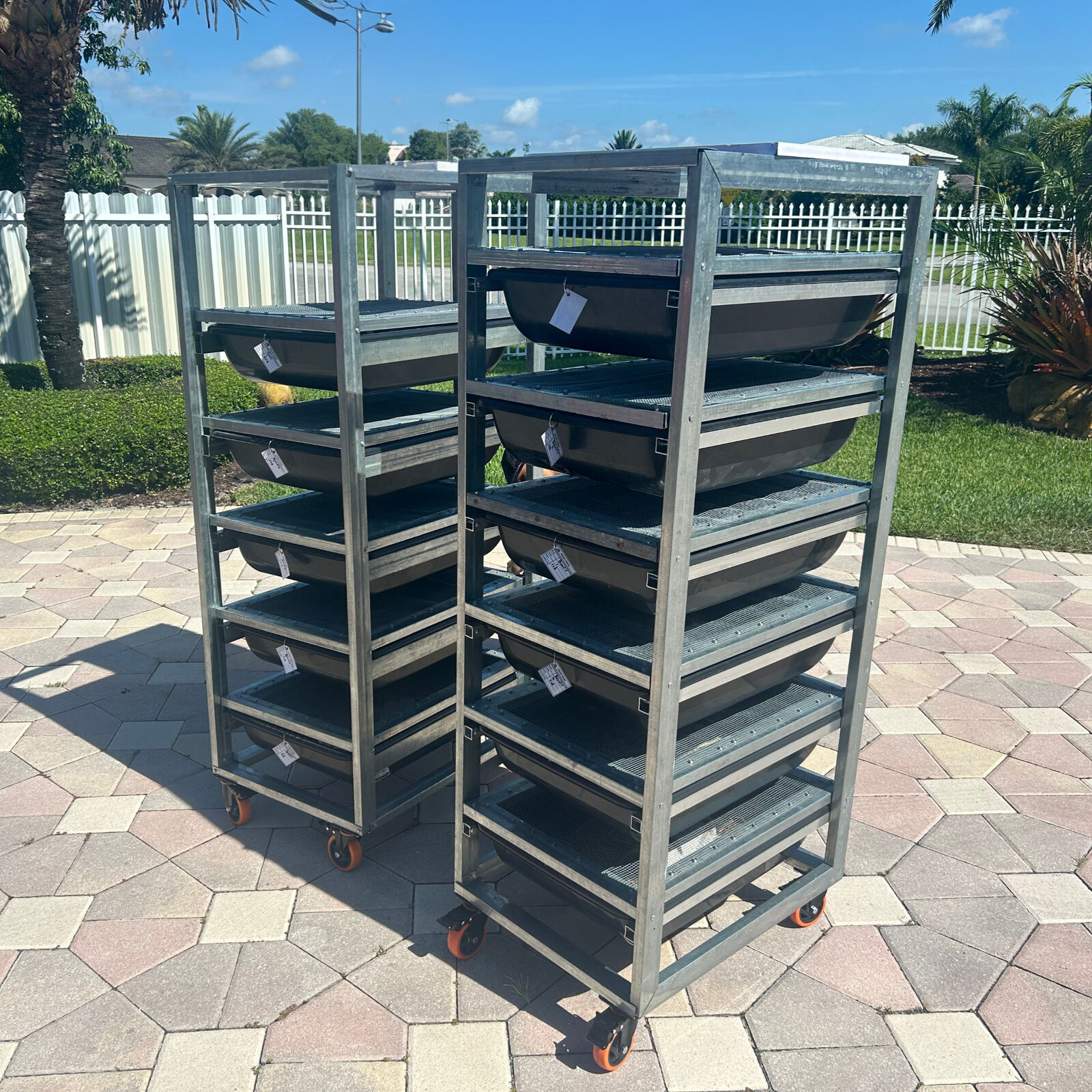Baby Reptile Rack