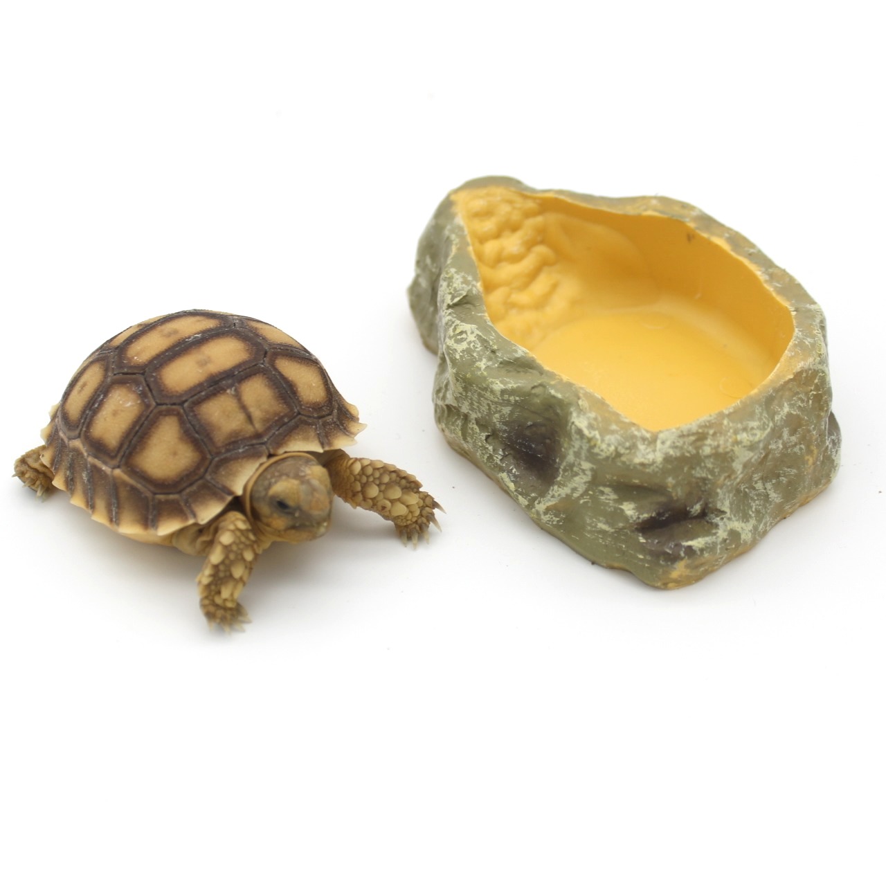 Water and Food Bowls 2